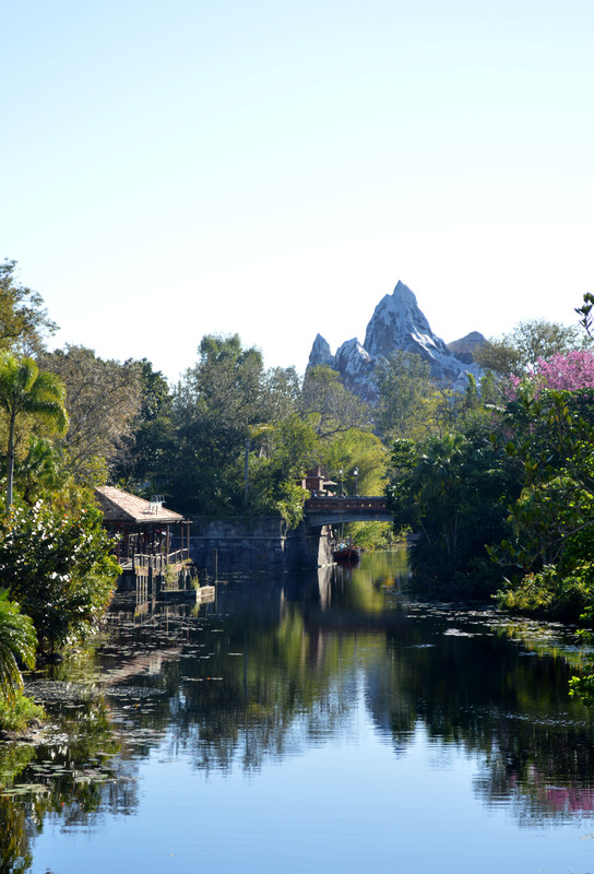 Disney World 07.jpg