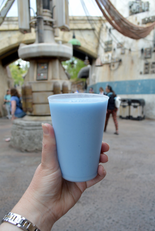 Disney World 33.jpg