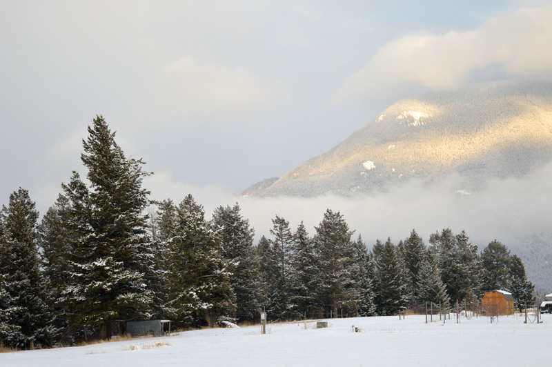 Montana 310.jpg