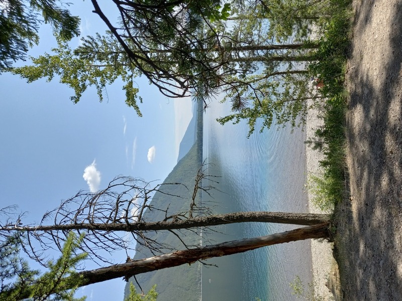 Montana 331.jpg