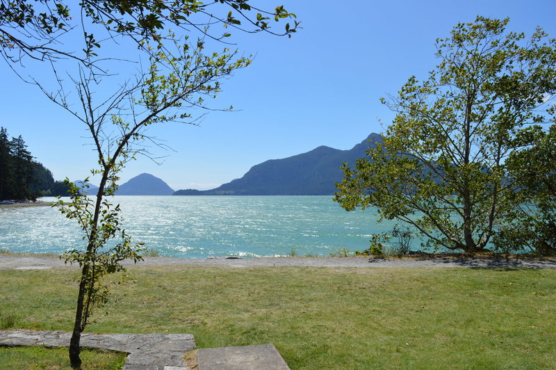 Whistler 12.jpg