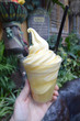 Disneyland Dole Whip Float.jpg
