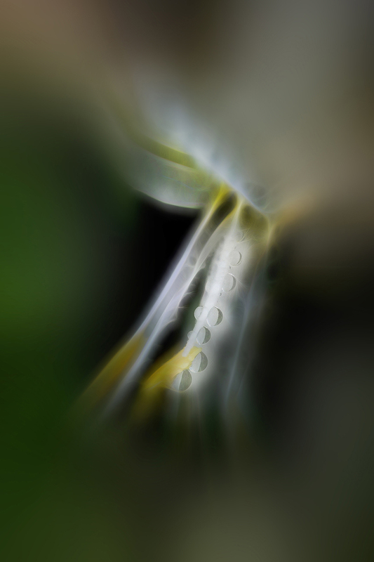 A001.jpg