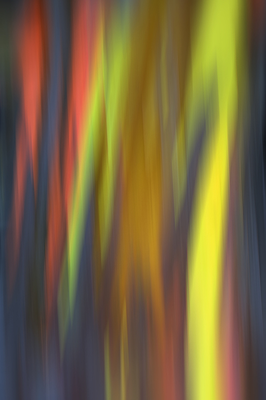A007.jpg