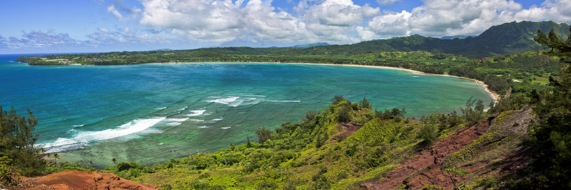 P0110 WAIKOKO HANALEI(1).jpg