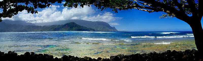 P0160 PRINCEVILLE REEF.jpg
