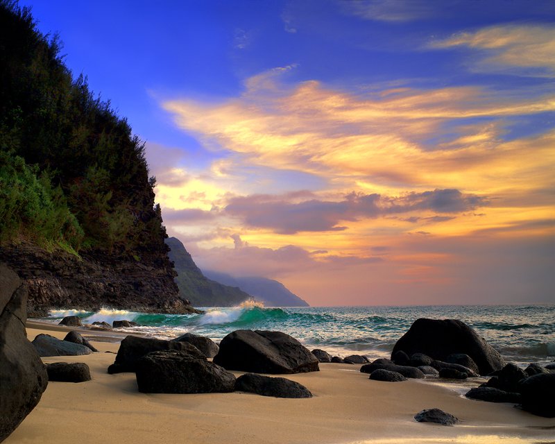 G0010 AFTERNOON DELIGHT.jpg :: AFTERNOON DELIGHT
(maximum image size 38x60)