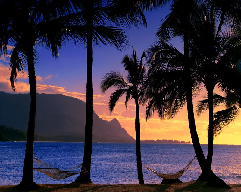 G0025 ESCAPE TO PARADISE.jpg :: ESCAPE TO PARADISE
(maximum image size 38x60)

