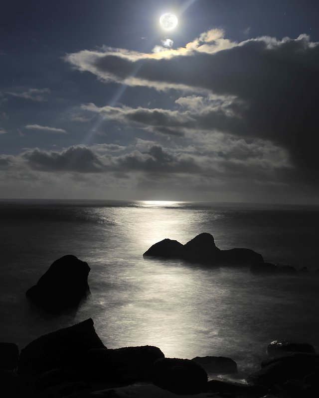 G0045  MOONLIGHT MYSTERE (MAX SIZE 24X36).jpg :: This image can be enlarged no larger than 38 in x 60 in