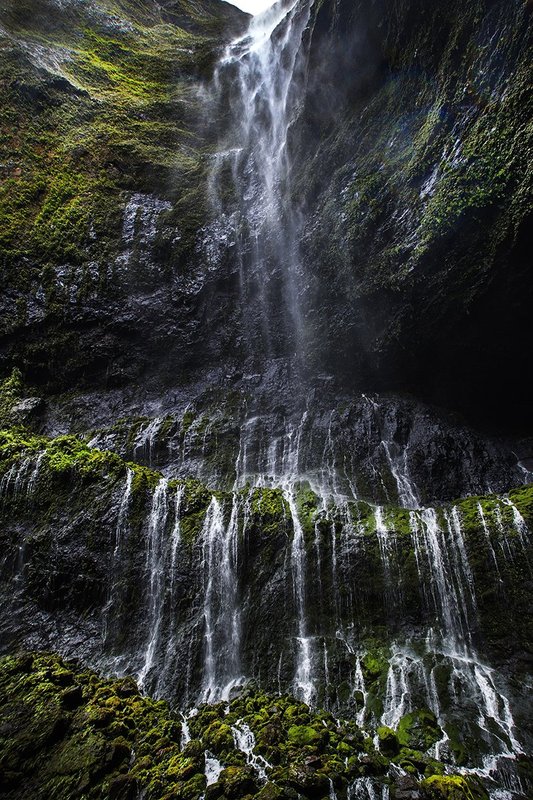G0214 WEEPING WALL P.jpg