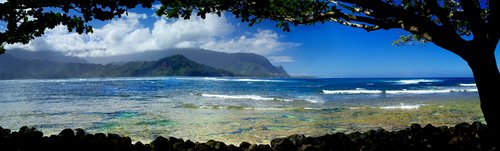 P0160 PRINCEVILLE REEF.jpg