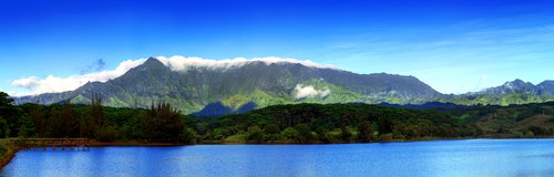 P0080 WAIALEALE REFLECTIONS (MAX SIZE 20X60).jpg