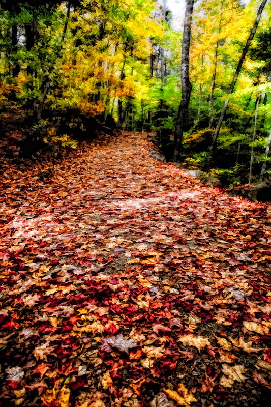 20091014_0140e.jpg