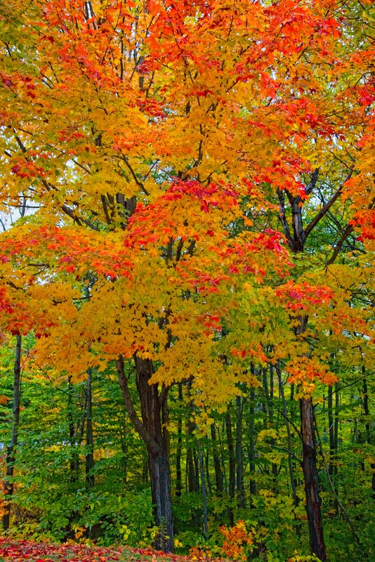 20091015_0047.jpg
