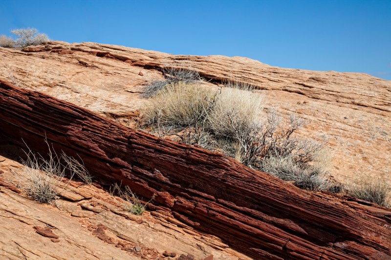 20100315_powell_0103.jpg