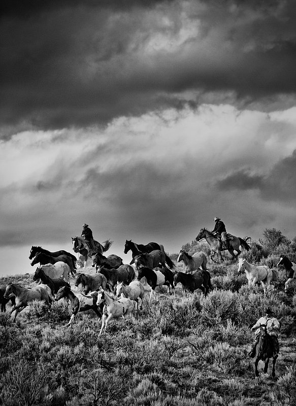 20100503_2870bw.jpg