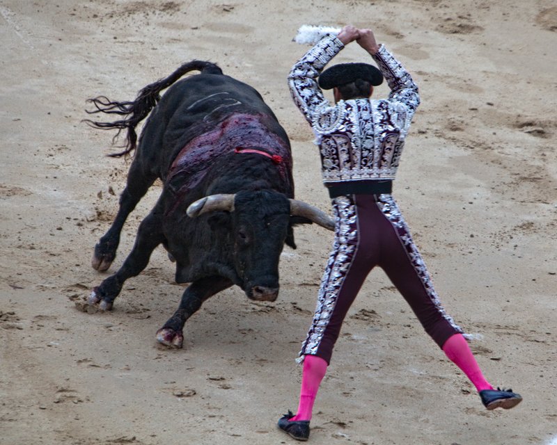 20100513_4654.jpg