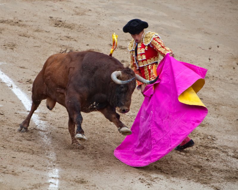 20100513_4759.jpg