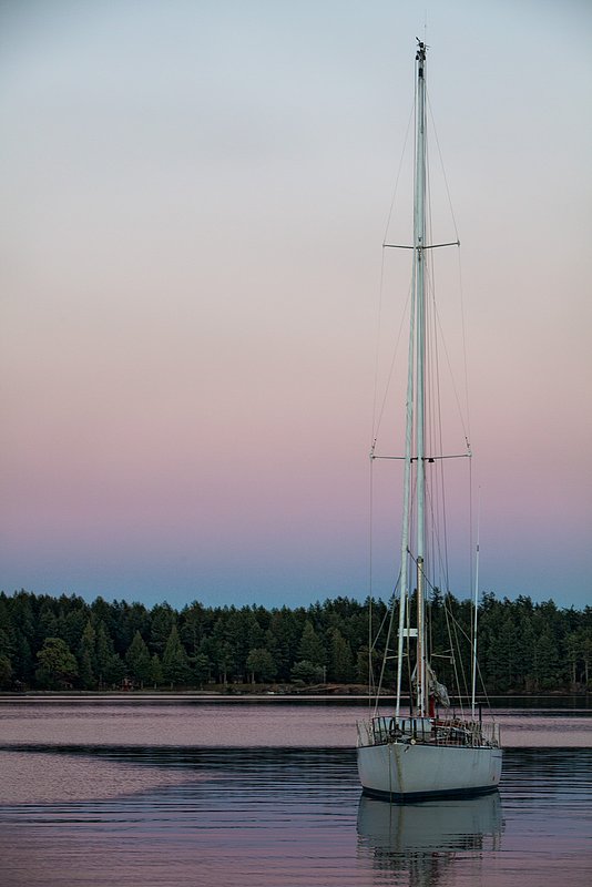 20100706_2911.jpg