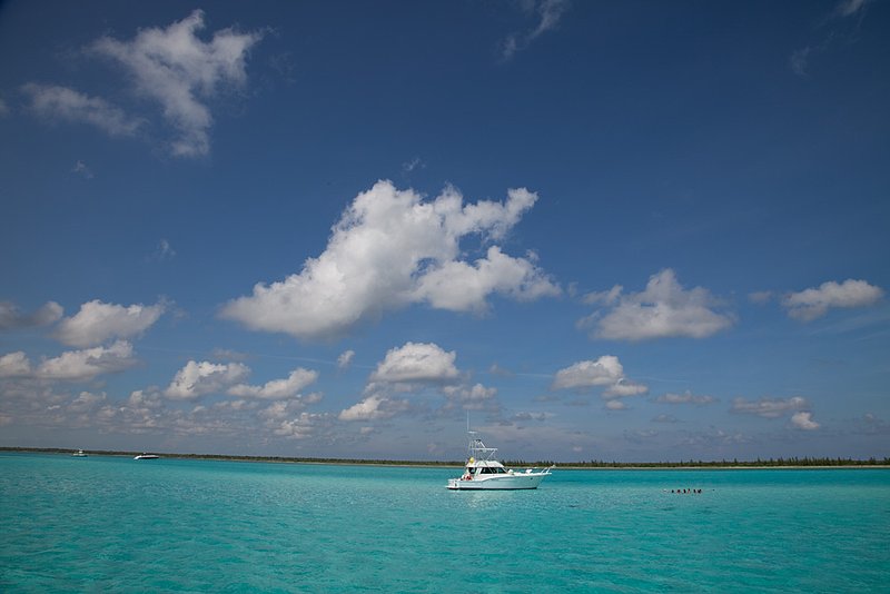 20100801_3052.jpg