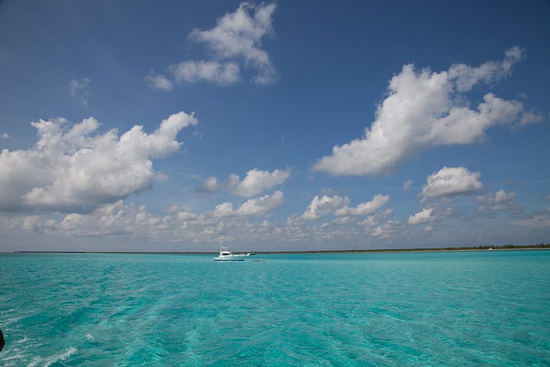 20100801_3054.jpg
