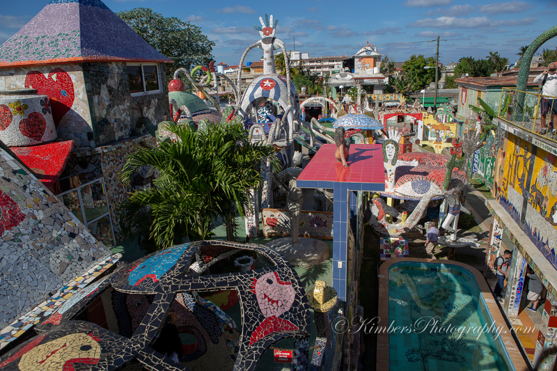 20190116-5565.jpg