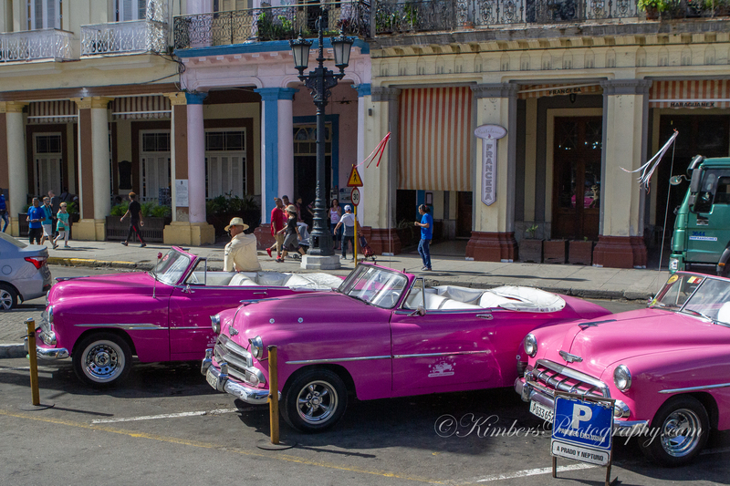 20190118-6780.jpg