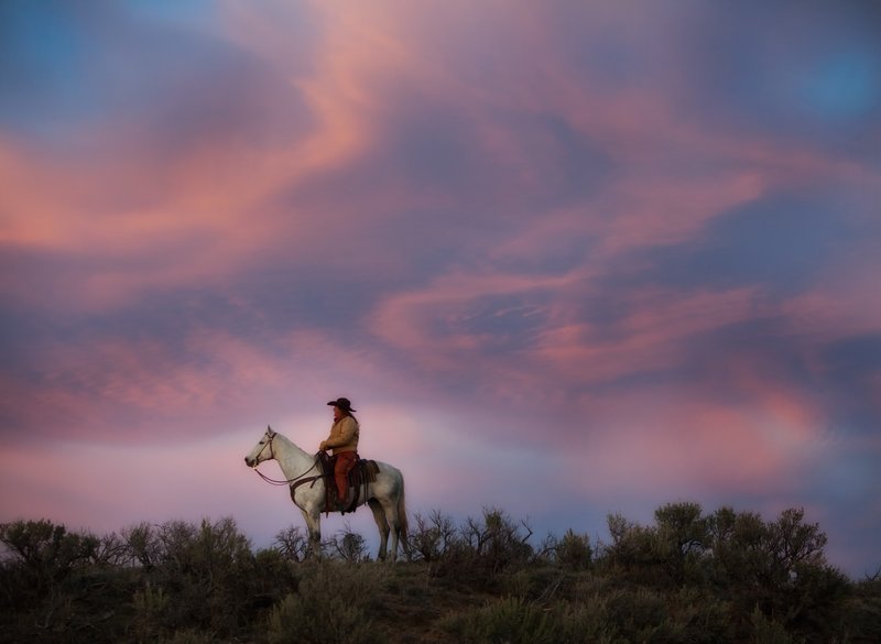 Cowgirl Heaven.jpg