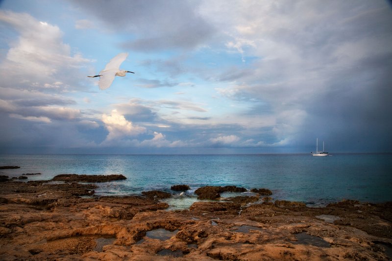 Cozumel Coast.jpg