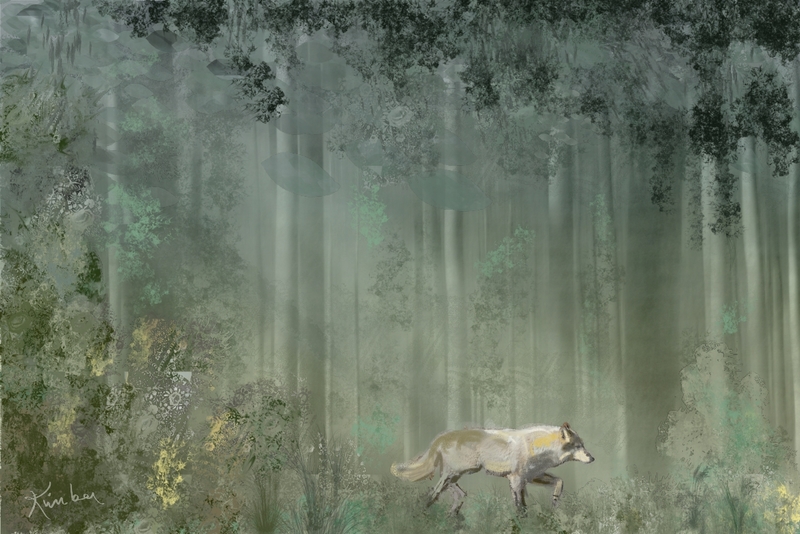 Forest_002small.jpg