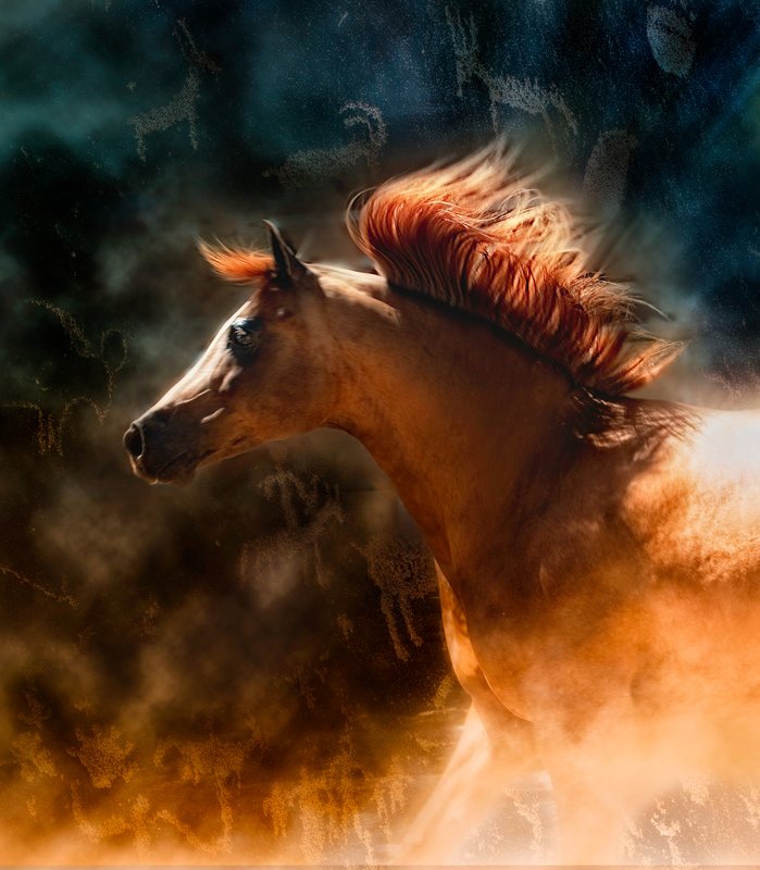 Freedom is a Spirit copy.jpg
