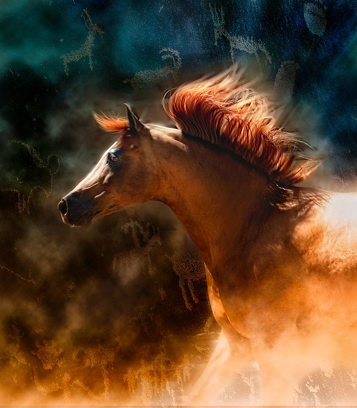 Freedom is a Spirit galaaward.jpg