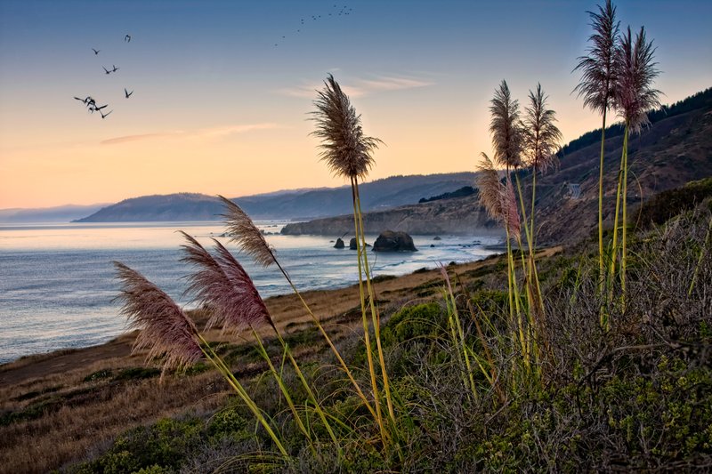 Highway one.jpg