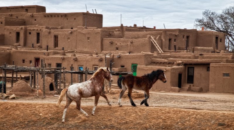Indian Ponies.jpg