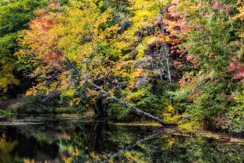 New England Fall.jpg
