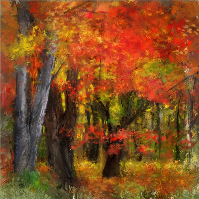 Red tree_004.jpg