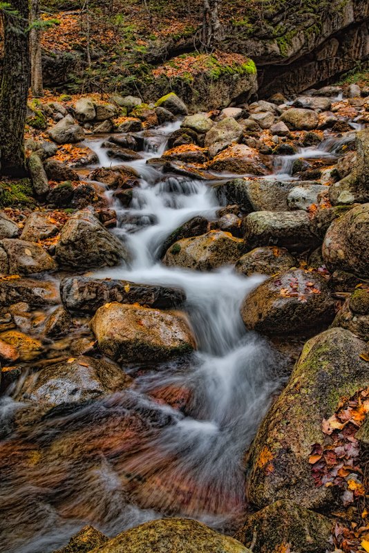 River Runs Through_0390.jpg
