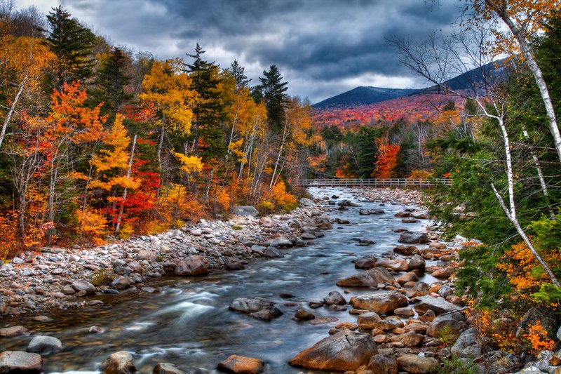 River of Color.jpg