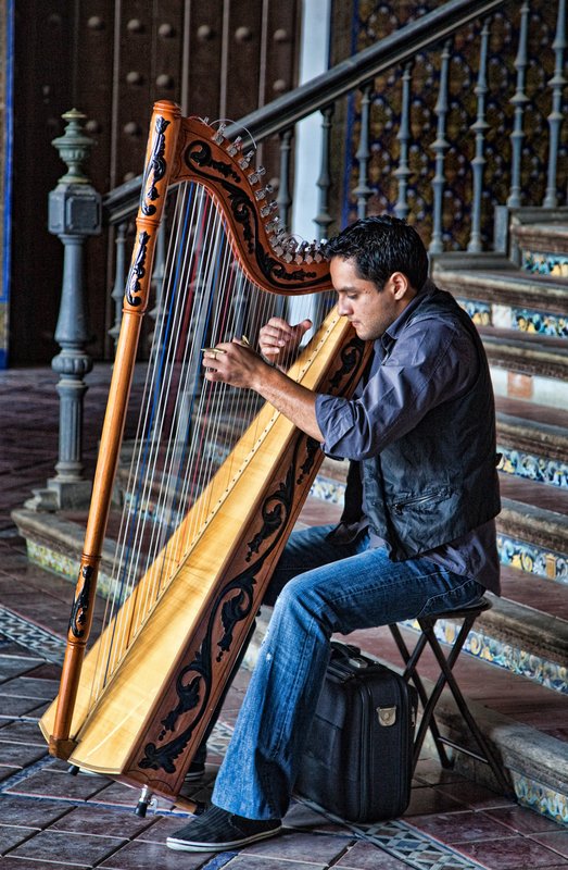 Spanish Harp.jpg