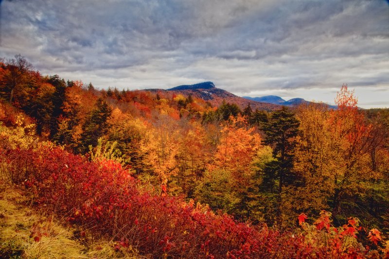 Vermont in Fall Colors.jpg