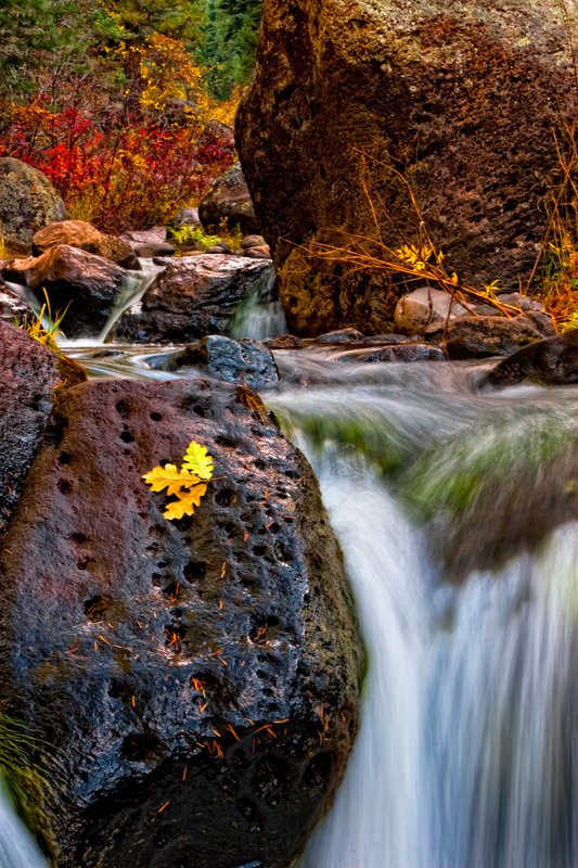 Waterfall in the Fall.jpg