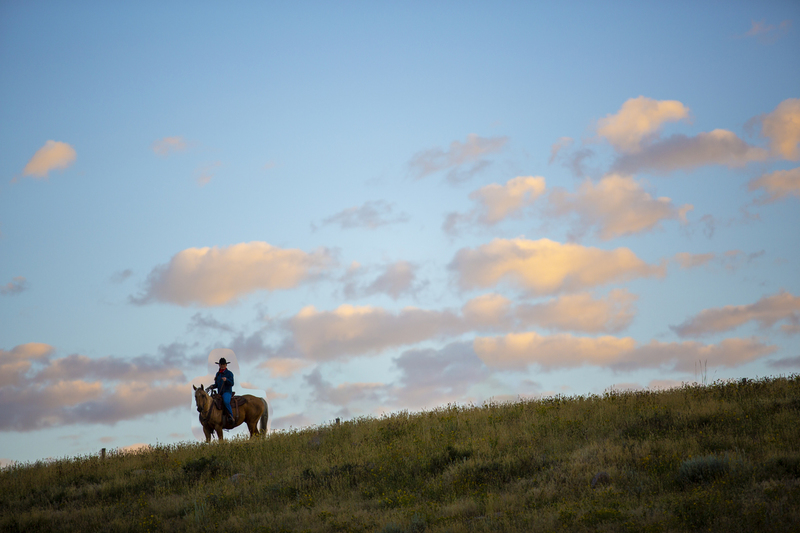 lone rider.jpg