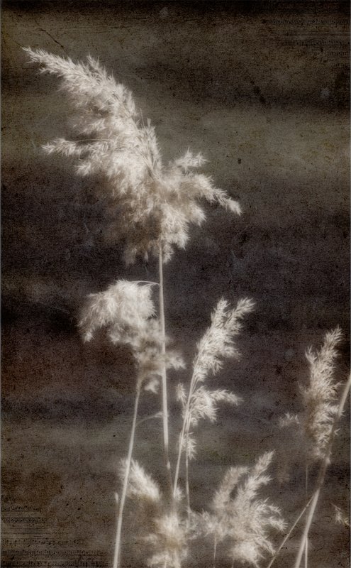 20120110_1079.jpg