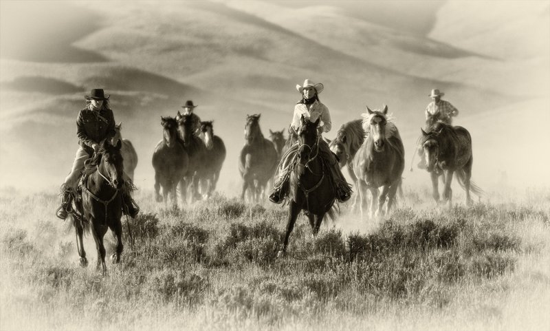 Cowgirl Life.jpg