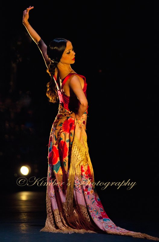 Flamenco on Stage.jpg
