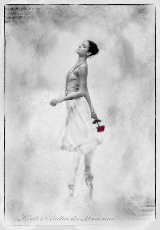 Red Rose.jpg