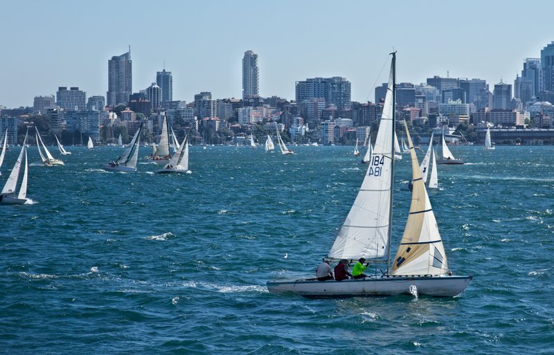 Sydney Harbor Traffic.jpg