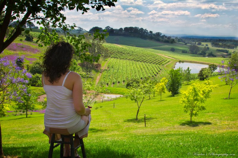Wine with a View.jpg