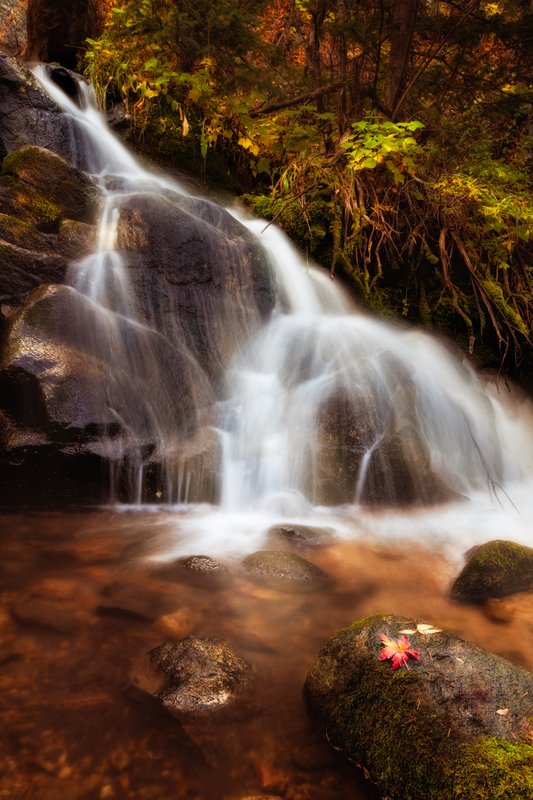 Falls in Fall.jpg