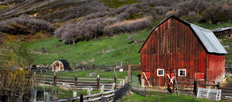 Red Barn Morning.jpg